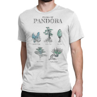 Avatar Floral Of Pandora Textbook Sketches Raglan Baseball Tee Classic T-shirt | Artistshot