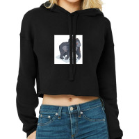 Magic Novels Gorilla And Ba Cropped Hoodie | Artistshot