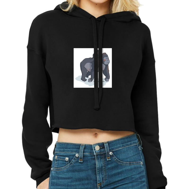 Magic Novels Gorilla And Ba Cropped Hoodie by LawrenceRisner | Artistshot