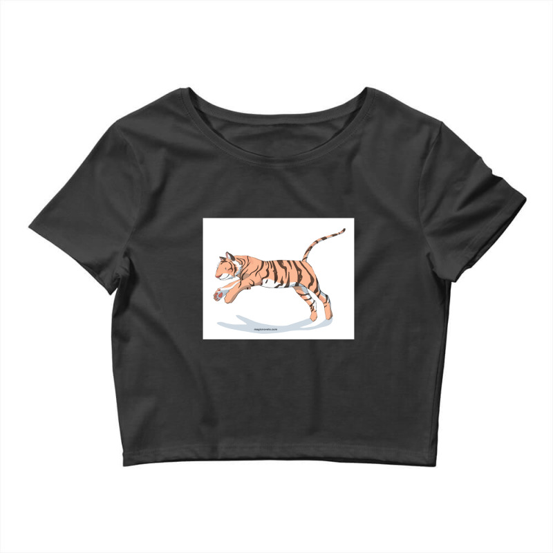 Magic Novels Jumping Tiger Crop Top by LawrenceRisner | Artistshot