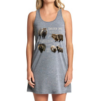 Animal Facts - Raccoon Dog Tank Dress | Artistshot