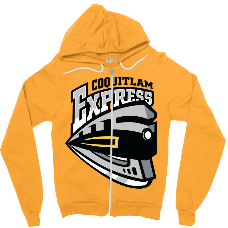 Express best sale zipper hoodie