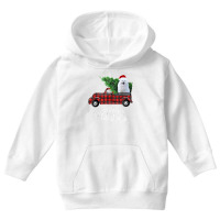 American Eskimo Red Truck Christmas Funny Dog T Shirt Youth Hoodie | Artistshot