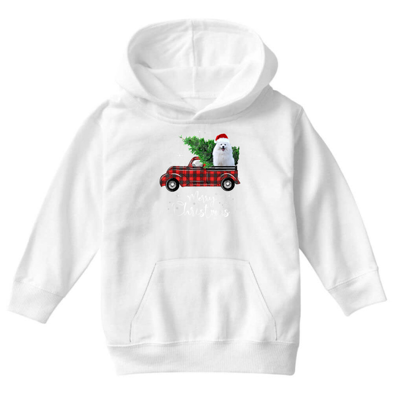 American Eskimo Red Truck Christmas Funny Dog T Shirt Youth Hoodie by cm-arts | Artistshot