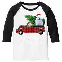 American Eskimo Red Truck Christmas Funny Dog T Shirt Youth 3/4 Sleeve | Artistshot