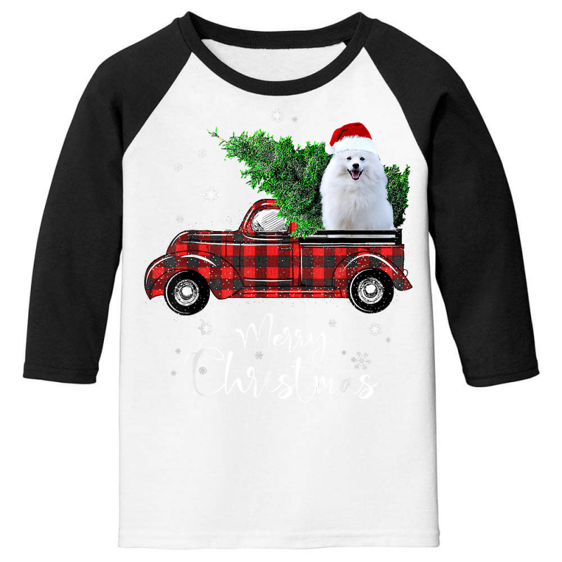 American Eskimo Red Truck Christmas Funny Dog T Shirt Youth 3/4 Sleeve by cm-arts | Artistshot