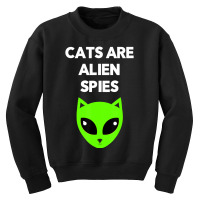 Cats Are Alien Spies And Kids Youth Sweatshirt | Artistshot