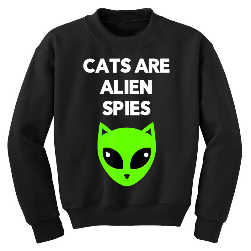 Cats Are Alien Spies And Kids Youth Sweatshirt | Artistshot