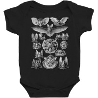 Bats Scientific Illustration Drawing Biology Art Halloween Baby Bodysuit | Artistshot