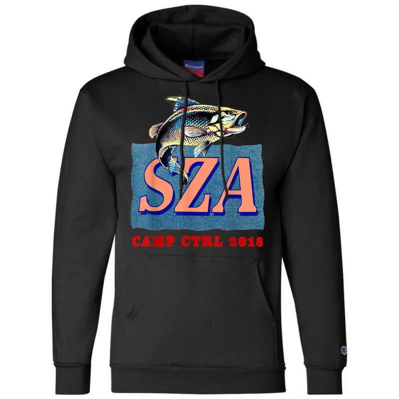 Sza ctrl hot sale champion hoodie