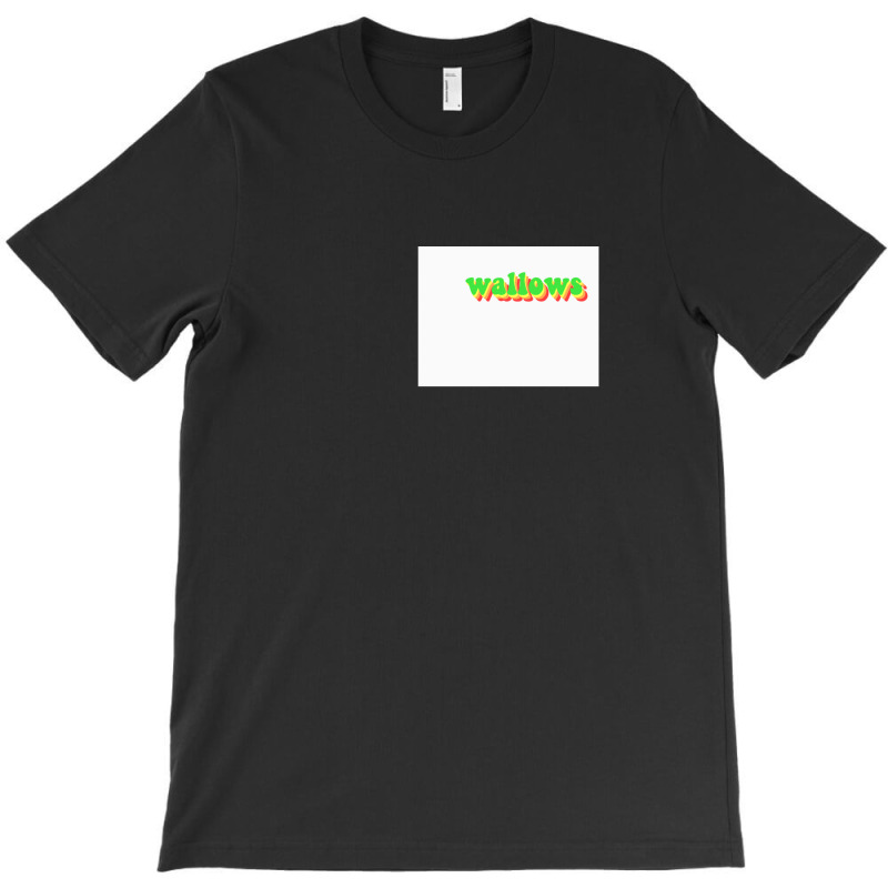 Wallows Unofficial Merch!! T-shirt | Artistshot