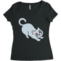 Blue Cat Stretching Women's Triblend Scoop T-shirt | Artistshot