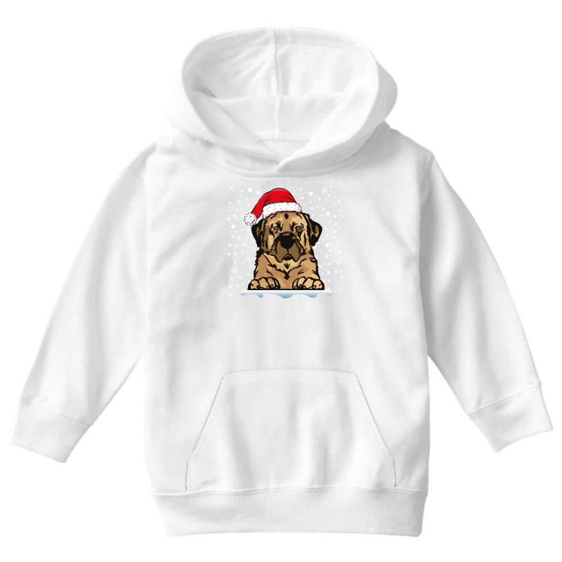 Anatolian Shepherd Dog Christmas Santa Hat Matching Family Long Sleeve Youth Hoodie by cm-arts | Artistshot