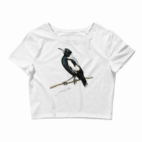 Magpie , Australian Bird Art With Artists Signature Crop Top | Artistshot