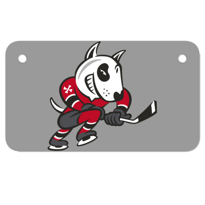 Niagara Icedogs Motorcycle License Plate Designed By Ava Amey
