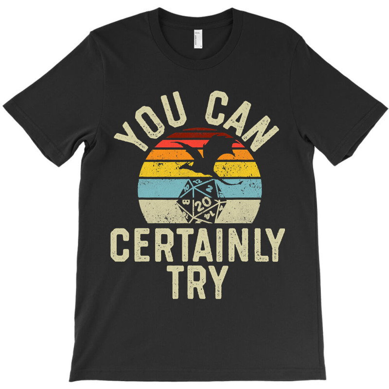 You Can Certainly Try D20 Dice Funny T-shirt | Artistshot