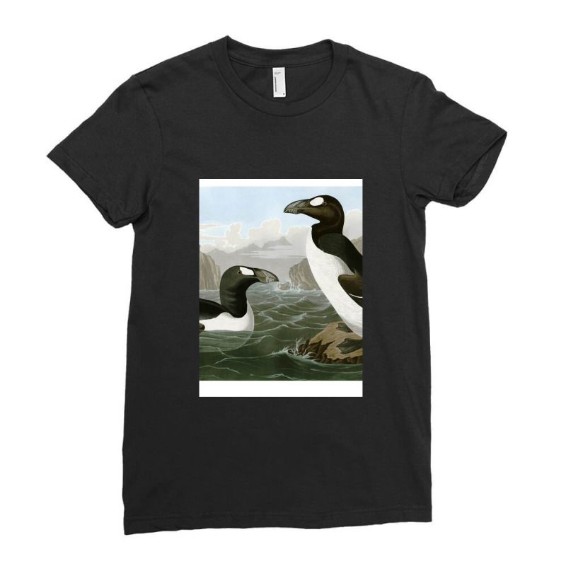 Seabirds - John James Audubon Ladies Fitted T-Shirt by CrystalHayes | Artistshot