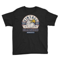 Retro Bald Eagle Brainerd Minnesota Vintage Limited Edition Youth Tee | Artistshot