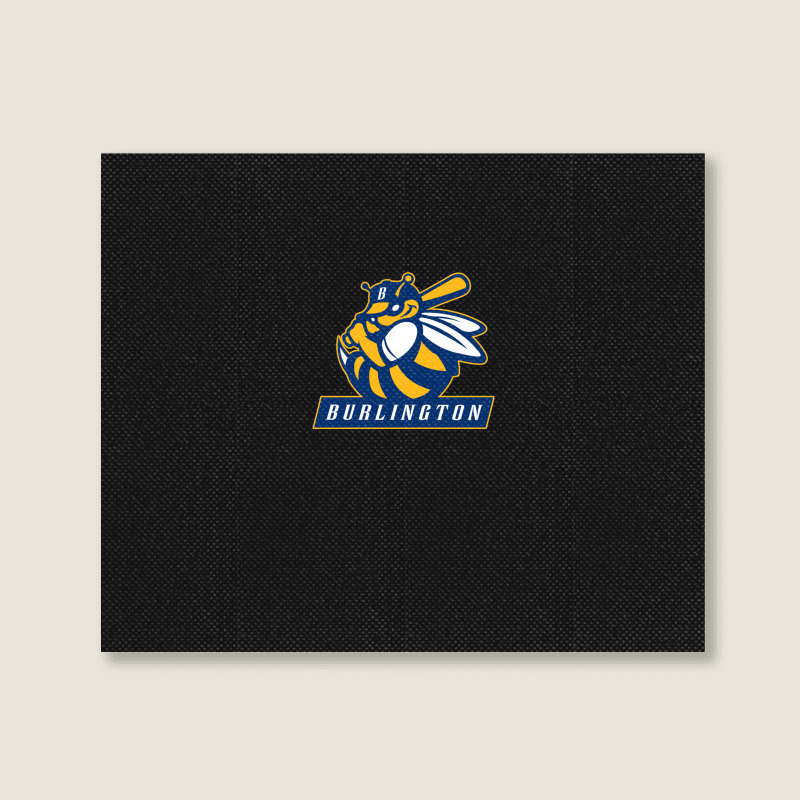 The Burlington Bees Landscape Canvas Print | Artistshot