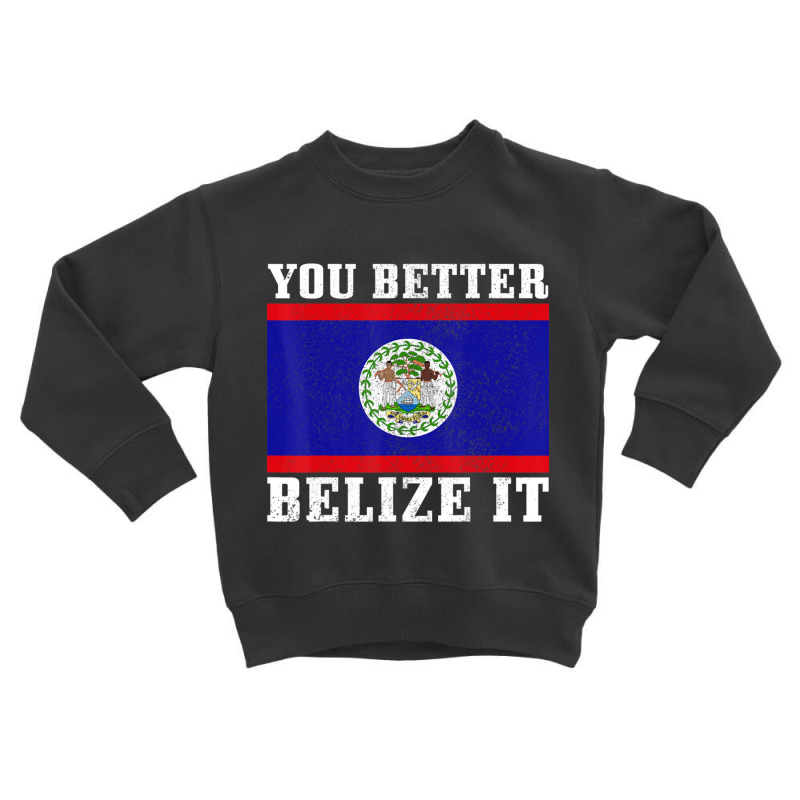 You Better Belize It Belize Flag Pride Toddler Sweatshirt by cm-arts | Artistshot