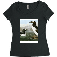 Seabirds - John James Audubon Women's Triblend Scoop T-shirt | Artistshot