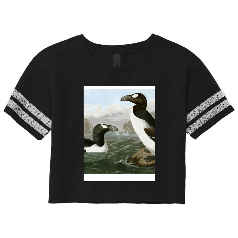 Seabirds - John James Audubon Scorecard Crop Tee by JamesTrichell | Artistshot