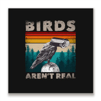 Funny Meme Birds Surveillance Truther Cctv Bird Aren't Real Pullover H Metal Print Square | Artistshot