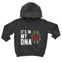 It's In My Dna Dominica Flag Dominican Toddler Hoodie | Artistshot