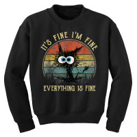 It's Fine I'm Fine Everything Is Fine Funny Black Cat Youth Sweatshirt | Artistshot