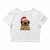 Anatolian Shepherd Dog Christmas Santa Hat Matching Family Premium T S Crop Top | Artistshot