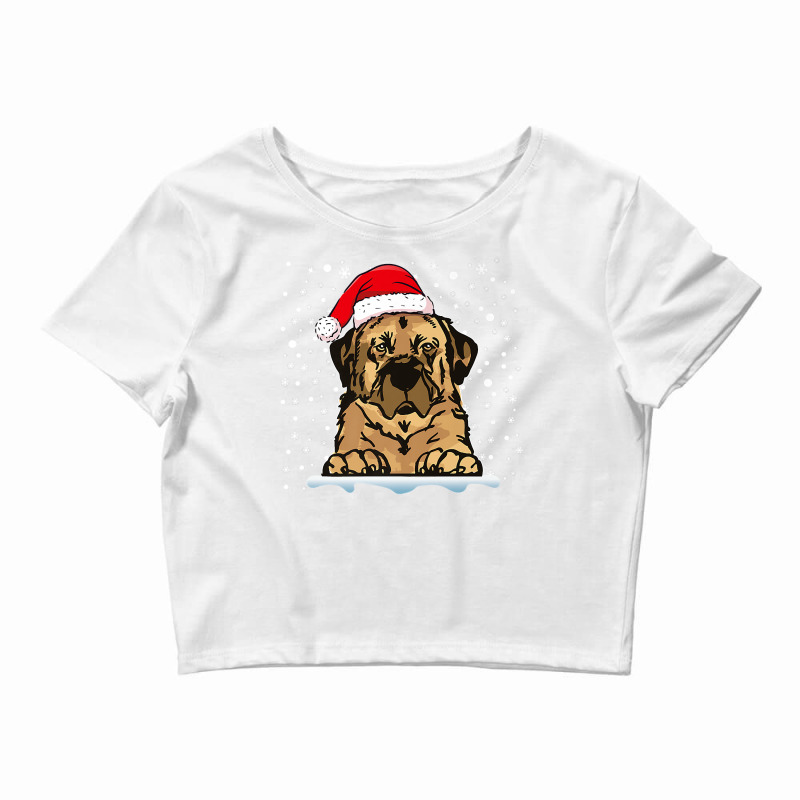 Anatolian Shepherd Dog Christmas Santa Hat Matching Family Premium T S Crop Top by cluniepfa | Artistshot