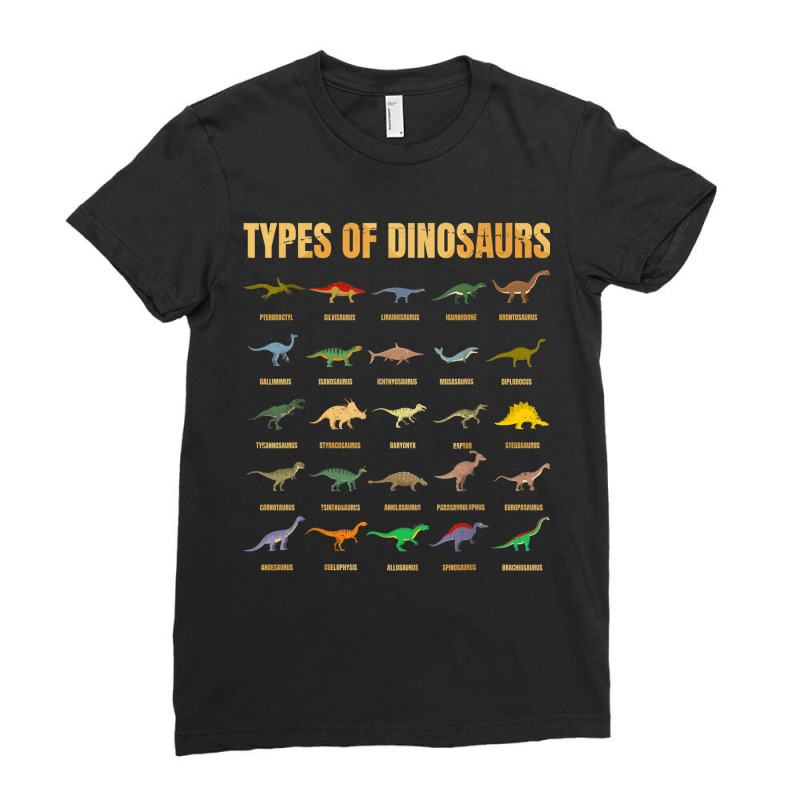 Types Of Dinosaurs Dino Identification Rex Dinosaur Type Ladies Fitted T-Shirt by ValentinoHoover | Artistshot