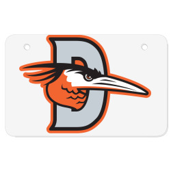 Delmarva Shorebirds