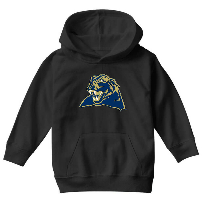 League Football Sports Youth Hoodie by cutmemey | Artistshot