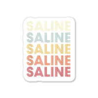 Saline Michigan Saline Mi Retro Vintage Text Sticker | Artistshot