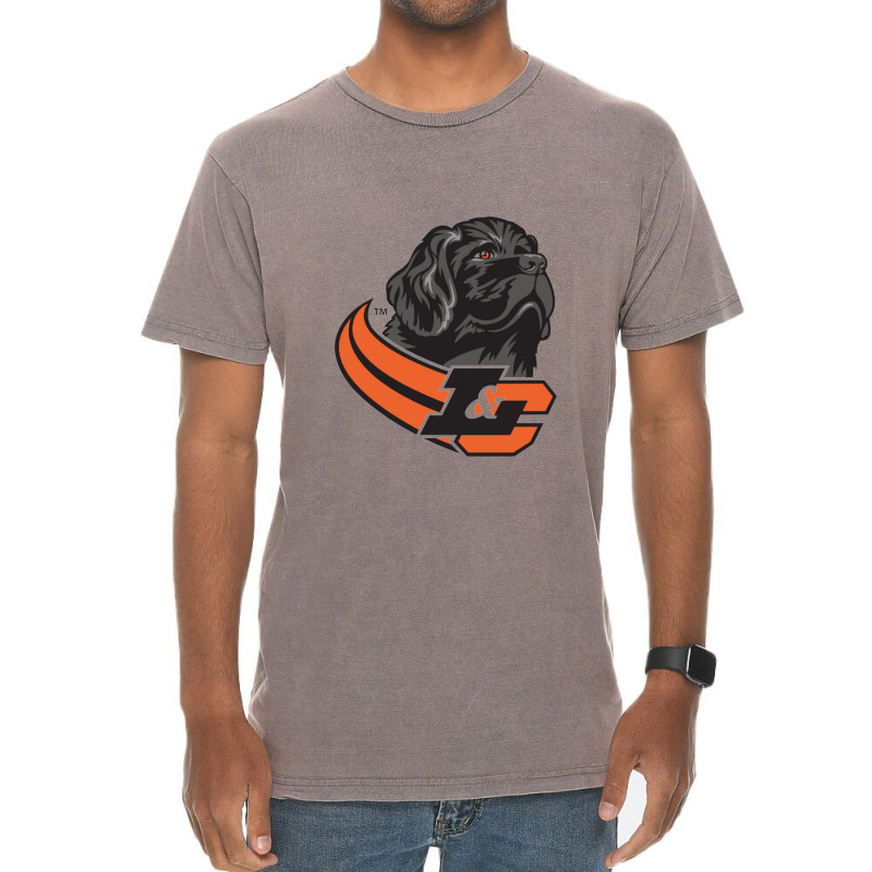 Lewis & Clark College Pioneers Vintage T-Shirt by Andreacomptonc | Artistshot