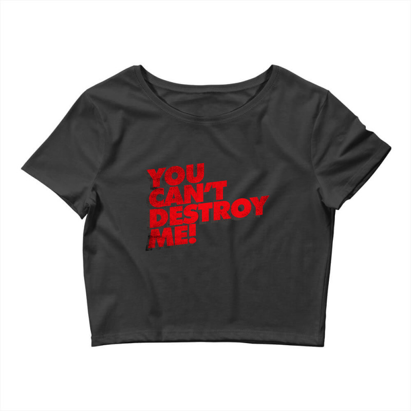 You Can't Destroy Me Crop Top by Kenlapnek62 | Artistshot