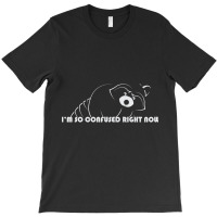 Raccoon - Im So Confused Right Now - 02 T-shirt | Artistshot