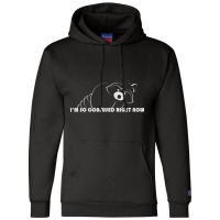 Raccoon - Im So Confused Right Now - 02 Champion Hoodie | Artistshot