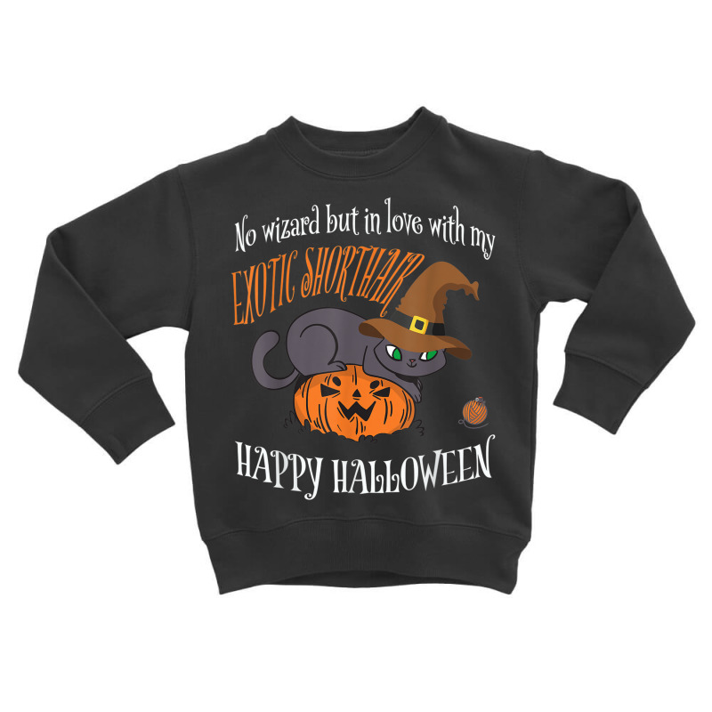 Exotic Shorthair   Cat Lover Not A Wizard Funny Halloween Toddler Sweatshirt by Fashonus | Artistshot