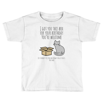 Cardboard Box Toddler T-shirt Designed By Meryart