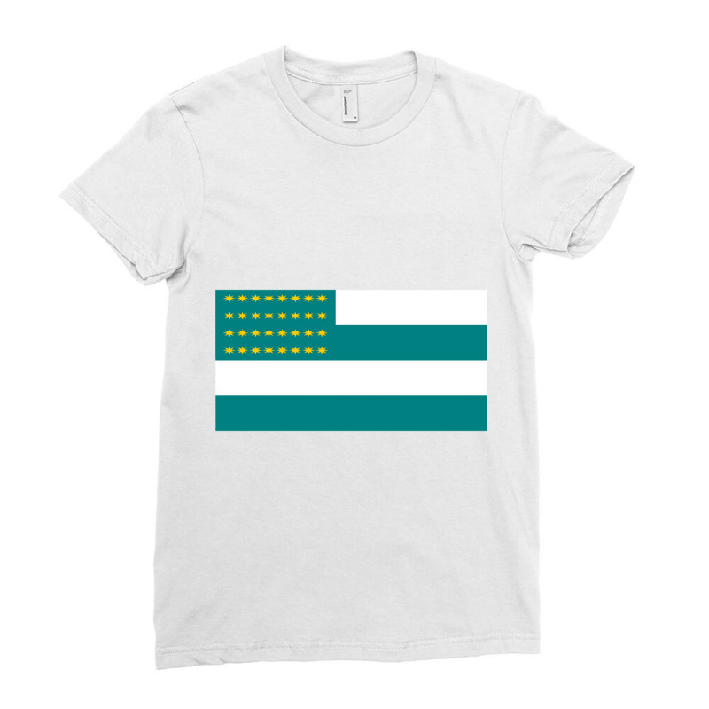 Flag Of The Fenian Brotherhood Ladies Fitted T-Shirt by cm-arts | Artistshot