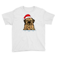 Womens Anatolian Shepherd Dog Christmas Santa Hat Matching Family V Ne Youth Tee | Artistshot