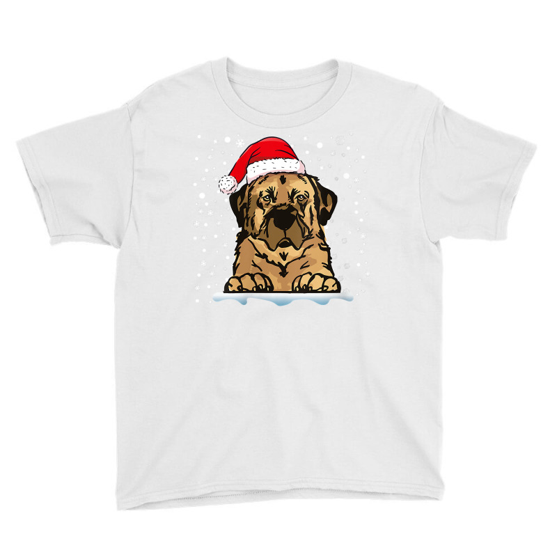 Womens Anatolian Shepherd Dog Christmas Santa Hat Matching Family V Ne Youth Tee by cm-arts | Artistshot