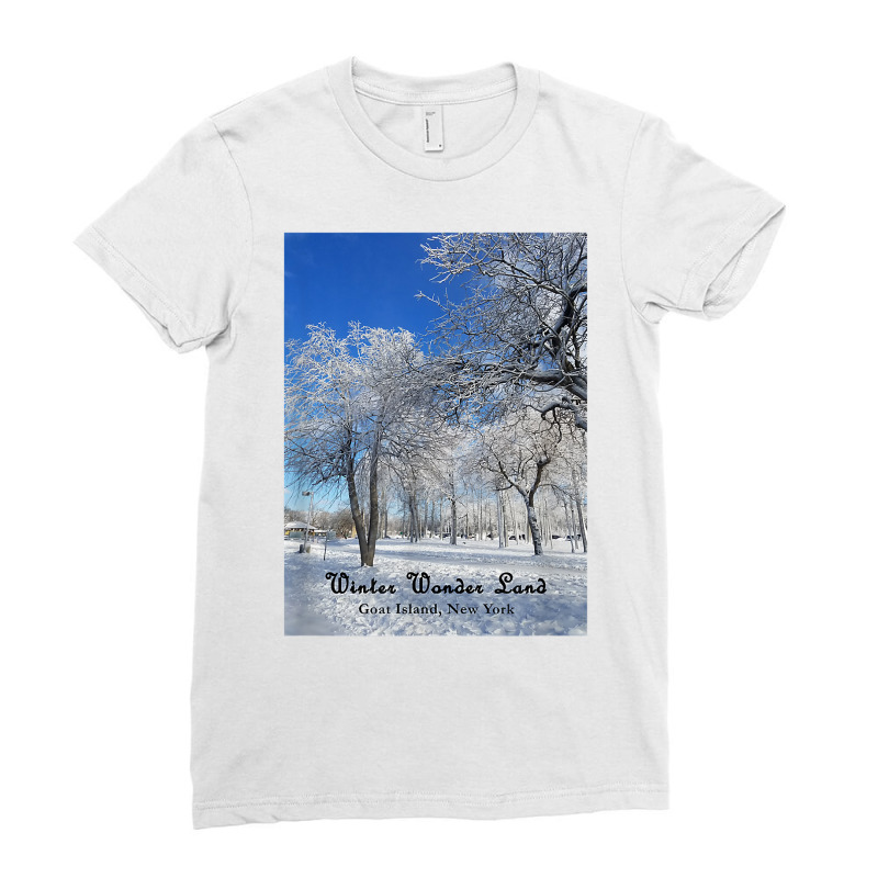 Winter Wonderland Goat Island, New York 2017 T Shirt Ladies Fitted T-Shirt by cm-arts | Artistshot