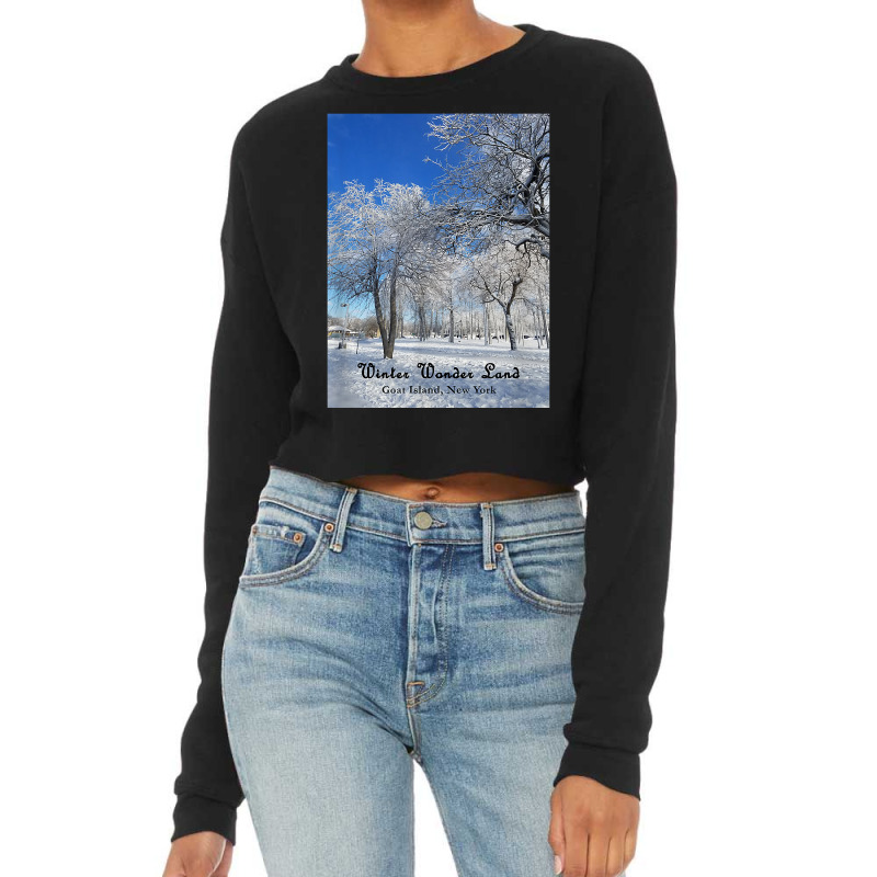 Winter Wonderland Goat Island, New York 2017 T Shirt Cropped Sweater by cm-arts | Artistshot