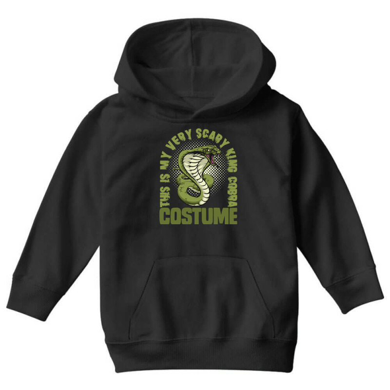 This Is My Very Scary King Cobra Costume, Halloween Snake Long Sleeve Youth Hoodie | Artistshot