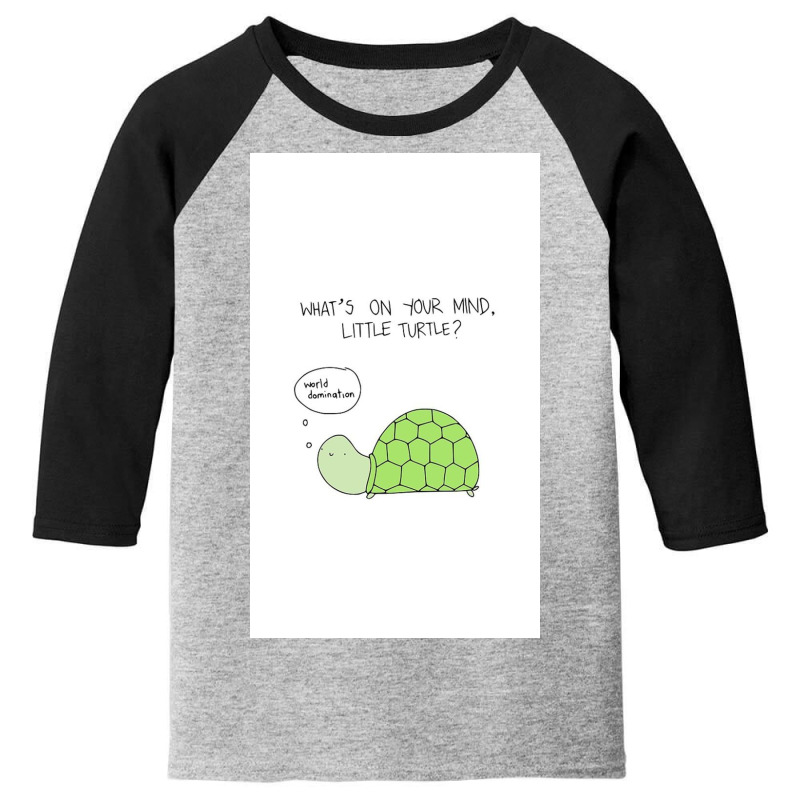 Turtle World Domination Youth 3/4 Sleeve by Silvisgvc | Artistshot