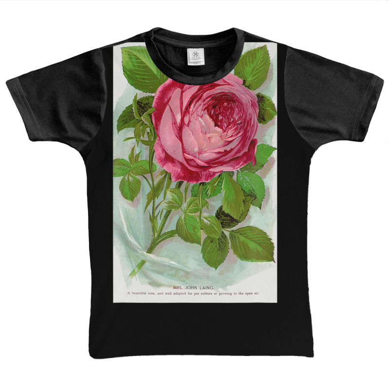 Vintage Mrs John-laing Roses Flower Botanical Specimen Graphic Youth T-shirt by katharinemcmichael90 | Artistshot