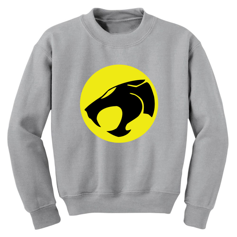 Thundercats 4 Youth Sweatshirt by cm-arts | Artistshot